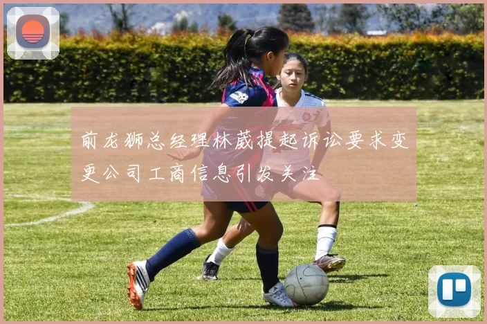 前龙狮总经理林葳提起诉讼要求变更公司工商信息引发关注